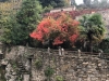2019-10-31-14.25.49