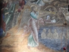 DSCN5658