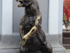 DSCN7565