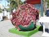 DSCN7779