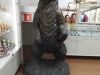DSCN8173