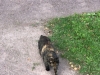 2019-08-25-12.45.57-1