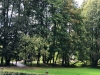 2019-08-25-12.53.23