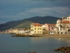 DSCN5130