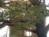 DSCN5150