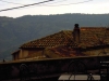 DSCN5164