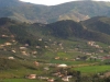 DSCN5165