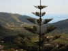 DSCN5166