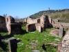 DSCN5199