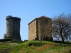 DSCN5214