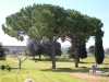 DSCN5237