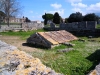 DSCN5249