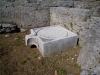 DSCN5254