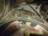 IMG-518