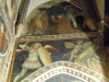 IMG-519