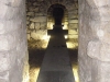 DSCN5977