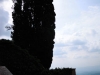 DSCN6008