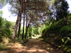 DSCN3916