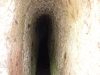 DSCN3924