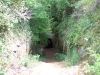DSCN3925