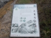 13.DSCN9986