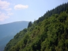 DSCN4228