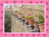 DSCN2072
