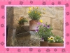 DSCN2075