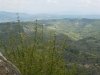 DSCN2086