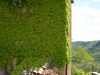 DSCN3608