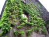 DSCN3628