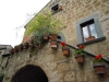 DSCN3632