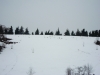 DSCN3537