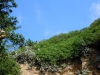 DSCN6227