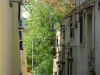 DSCN6238