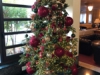 2019-12-30-09.32.53