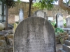 DSCN3001