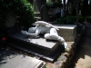 DSCN3008