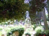 DSCN3020