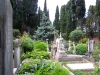 DSCN3036