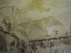 DSCN5416