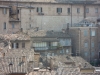 DSCN5356