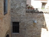 DSCN5383