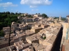 DSCN5426