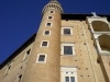 DSCN5436