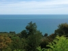 2015-10-04-12.42.54
