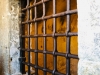 thumb_IMG_3917_1024-2