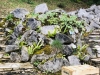 thumb_IMG_6677_1024