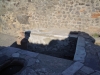 DSCN3241