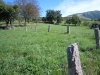 Convivio-481